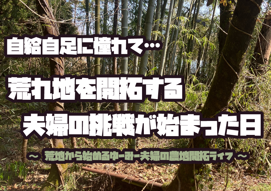 15年放置された荒れ地の農地。自給自足を目指す夫婦が開拓を決意したスタート地点の様子。