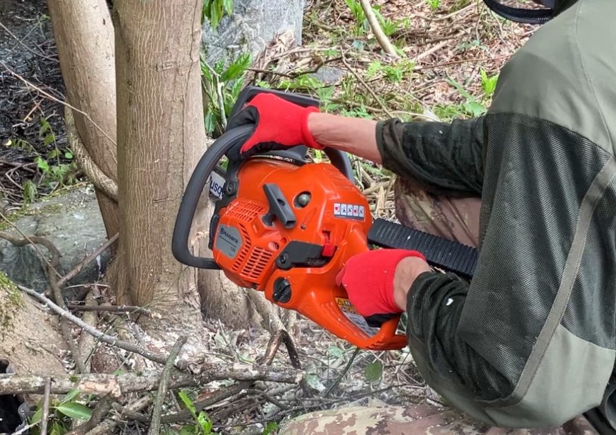 ハスクバーナ135 Mark IIで木の切り込みを入れている様子。