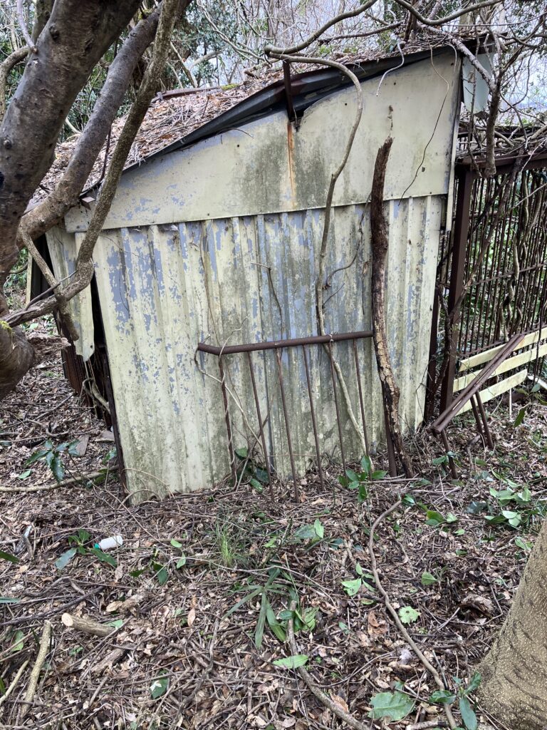 荒れた農地に残る小屋の様子。