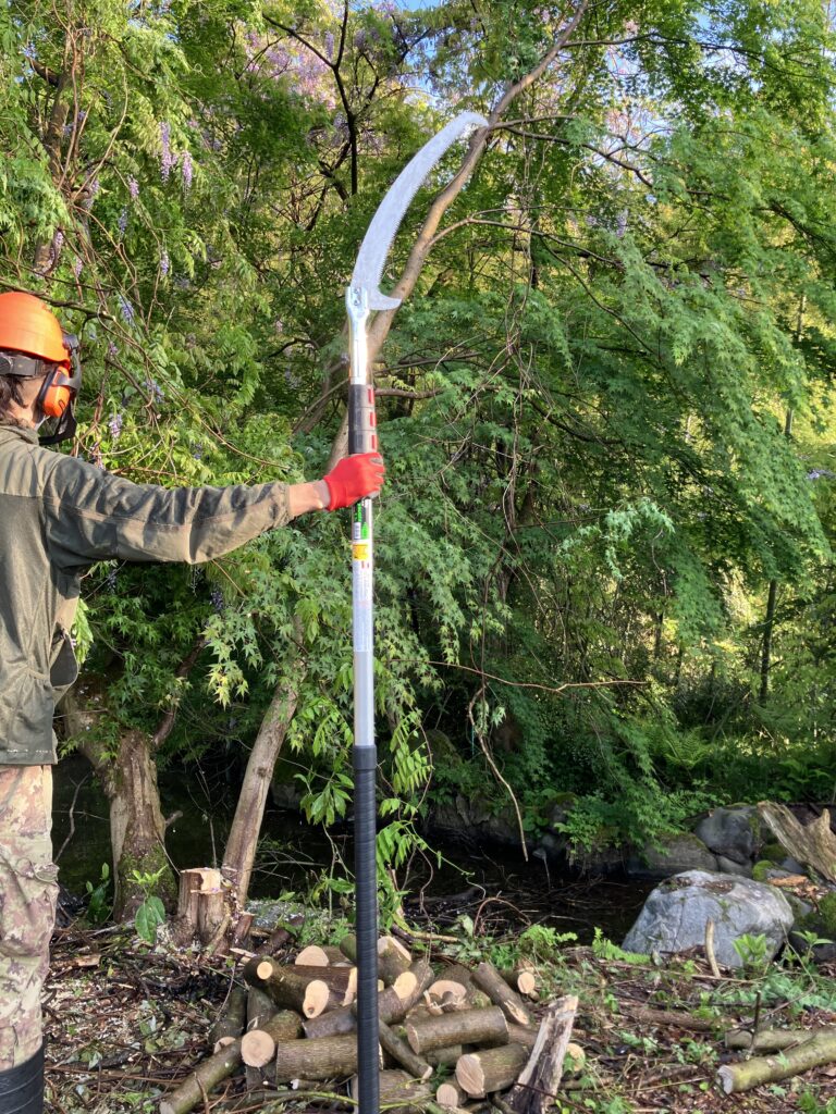 最大6.3mまで伸びるユーエム工業シルキーはやうち4段高枝切りノコギリの写真。