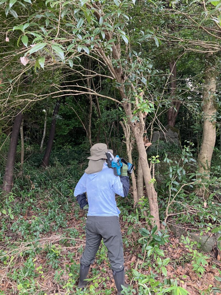 伐採前の雑木が生い茂った開拓地の様子。