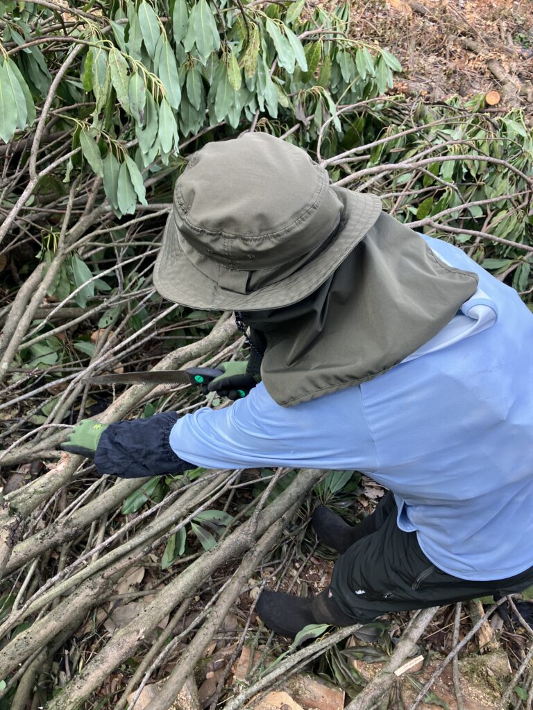 ノコギリで木を切る女性。すごく苦労している様子。