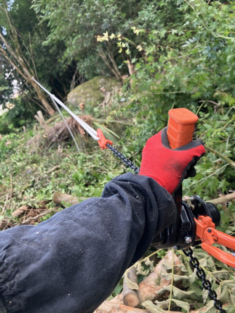 木を安全に倒すための受け口と追い口の位置関係を示した伐採手順の図解