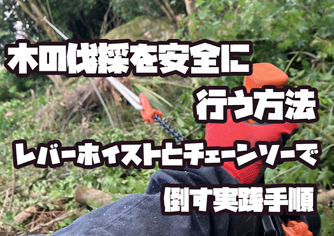 レバーホイストとチェーンソーを使って木を安全に伐採する手順を解説した記事のアイキャッチ画像