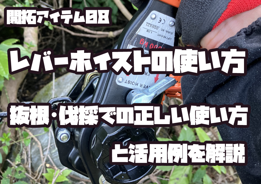 1トンのレバーホイストで切り株を抜根し安全に木を伐採する現場写真