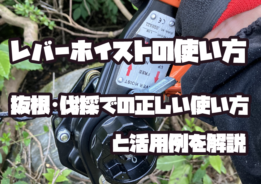 レバーホイストの使い方｜切り株の抜根や木の伐採で牽引している作業風景