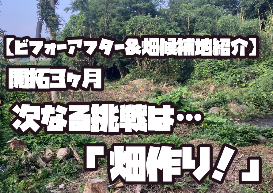 3ヶ月の農地開拓ビフォーアフター。雑木林状態から伐採が進み、畑づくりを目指す段階まで変化した様子。