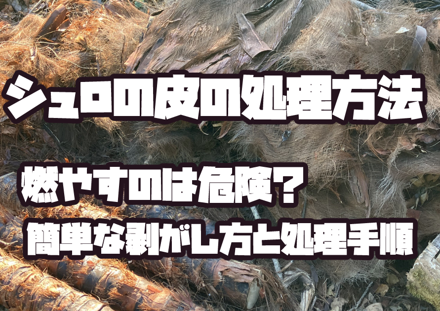 シュロの皮を剥がして処理している作業の様子