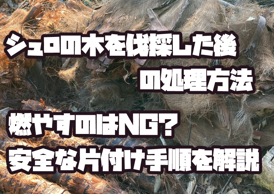 シュロの木を伐採した後の処理方法を解説。燃やしてはいけない理由と安全な片付け手順を紹介