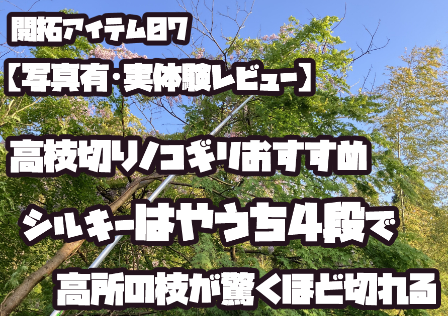 Silkyはやうち4段を使って高木を地上から剪定している様子