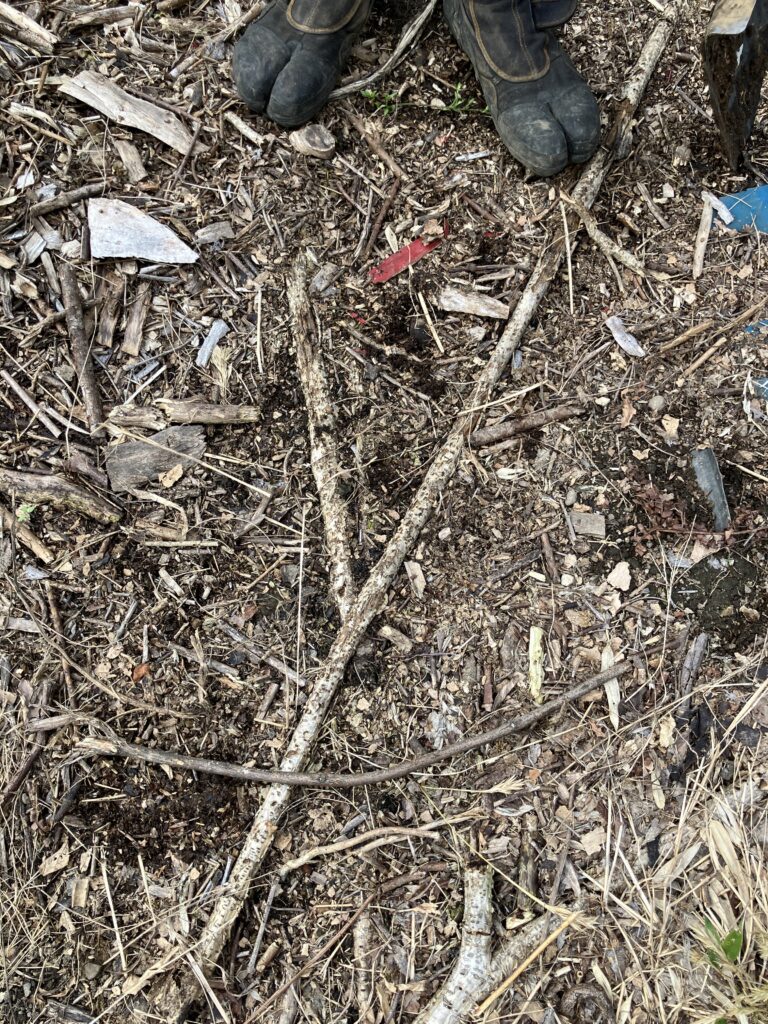畑の掘り起こし作業前の根っこが張り巡らされた硬い地面の様子