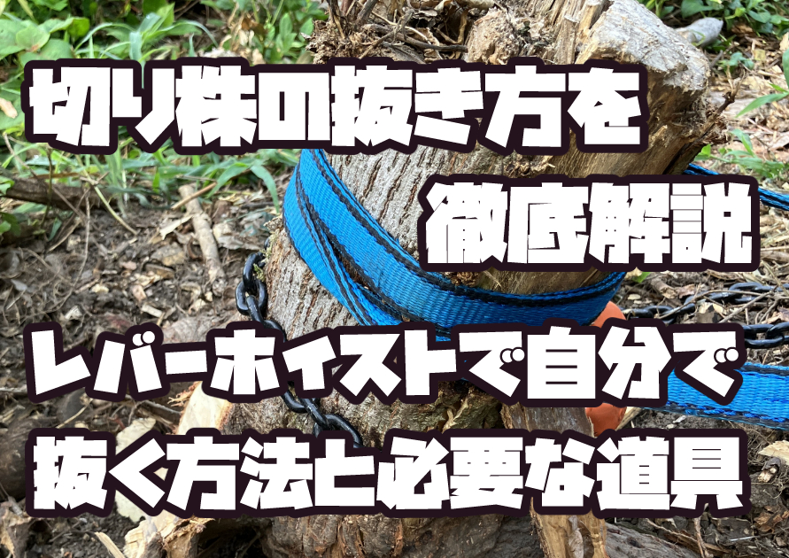 レバーホイストを使って切り株を自分で抜く方法と、必要な道具を解説した作業イメージ
