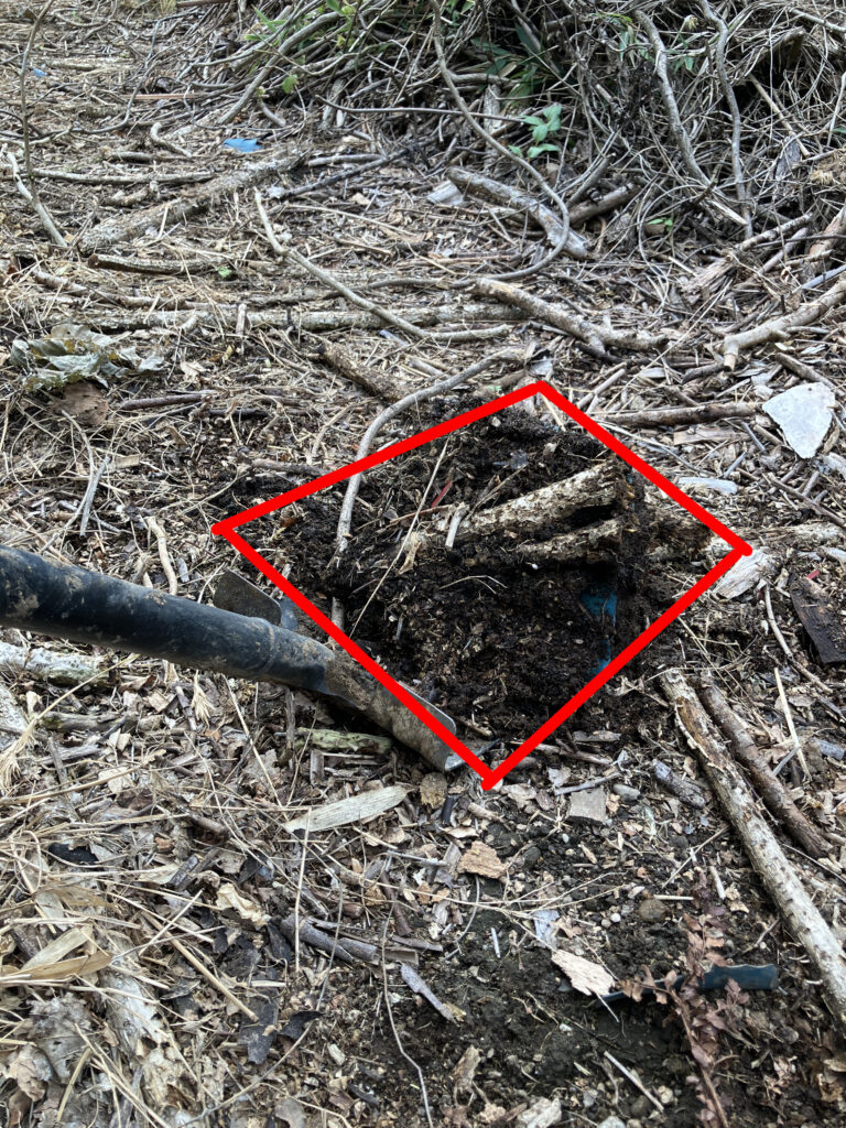 四方から強力土起こしシャベルを突き刺して根ごとブロック状に掘り起こす様子