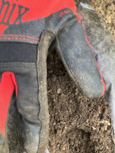 カブの種を入れたら覆い被せる