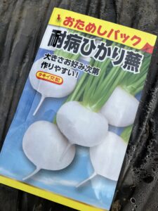 おためしパック:耐病ひかり蕪