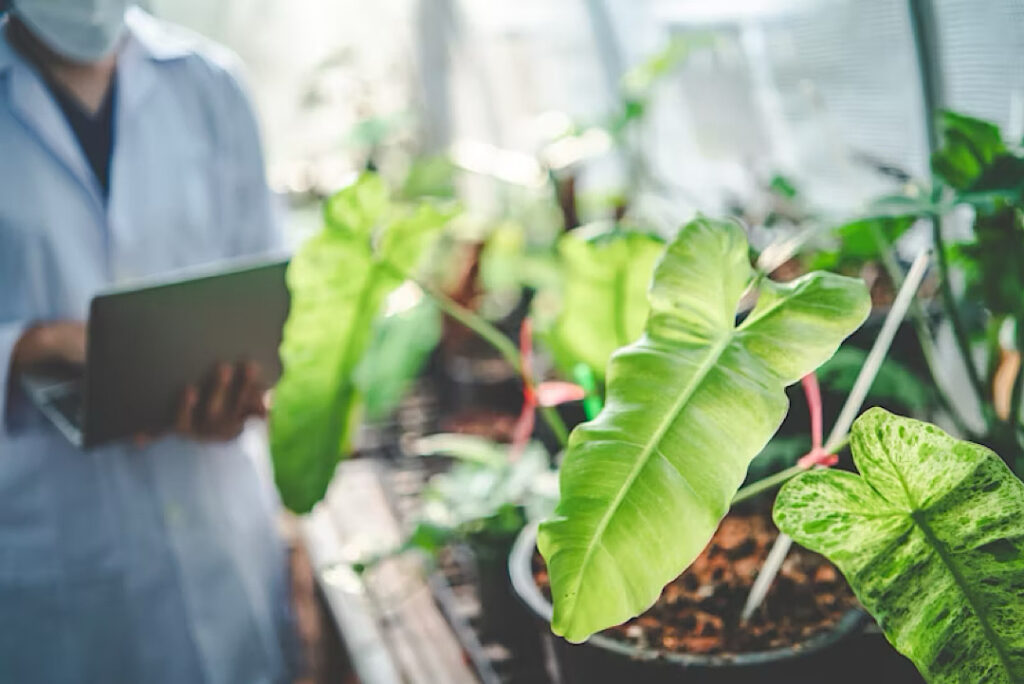 農業研究のイメージ