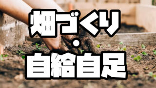 畑づくり・自給自足