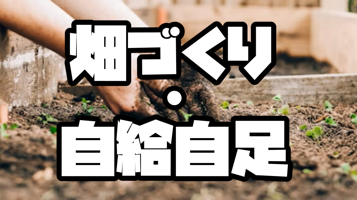 畑づくり・自給自足