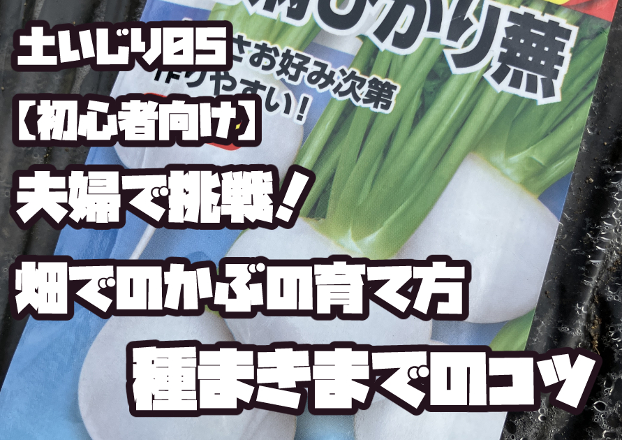 初心者夫婦が畑でかぶの種まきまでのコツを伝えるアイキャッチ画像。
