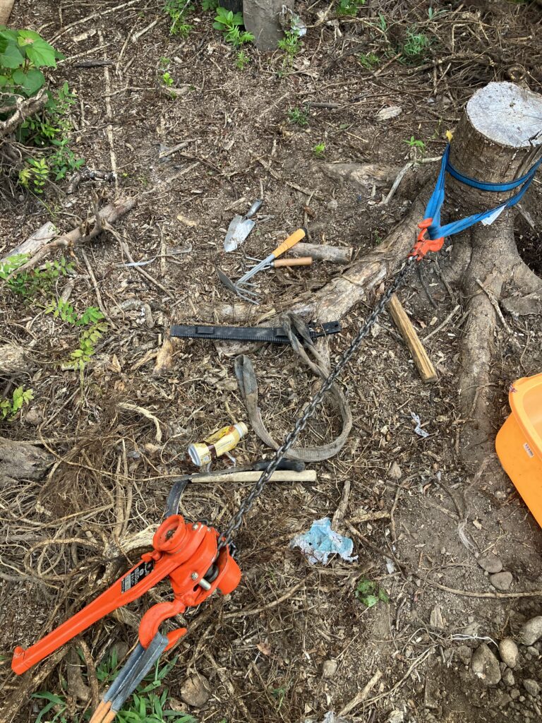 切り株の根を抜く前の状態。地中に太い根が残っている様子