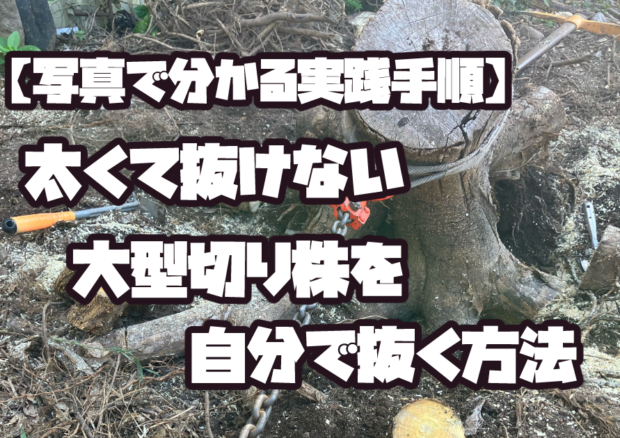 太くて抜けない大型切り株を自分で抜く作業の様子を写真で解説