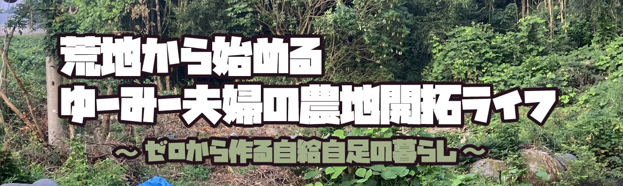 ゆーみーぶろぐ