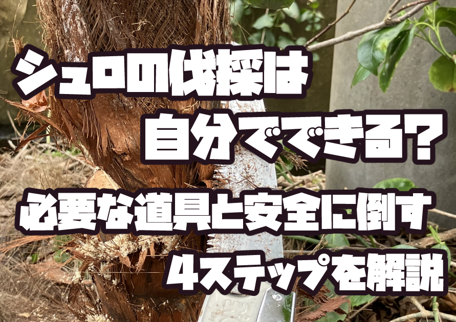 ロープで方向を固定しながらシュロの木を安全に伐採する様子