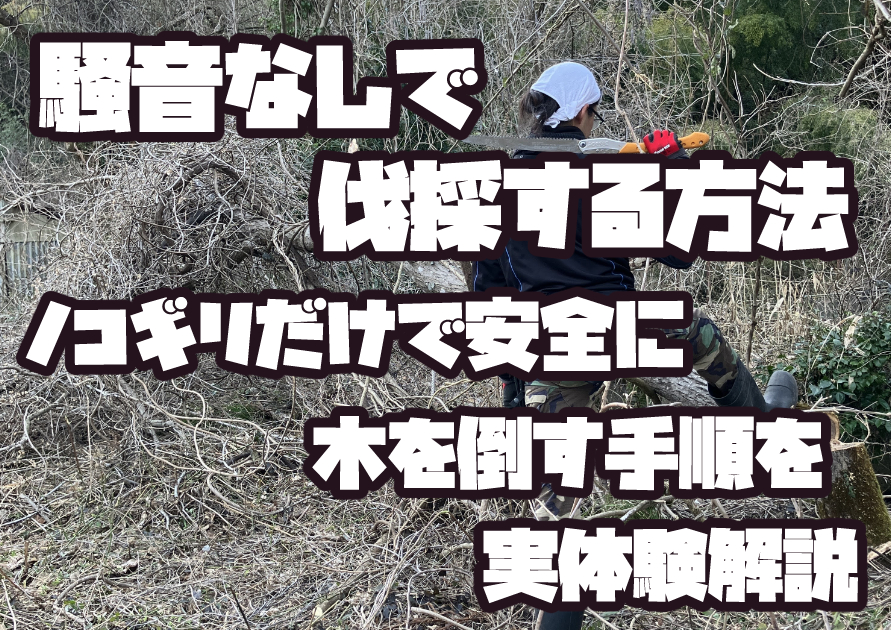 チェーンソーを使わずノコギリで木を伐採する方法。騒音を抑えた安全な倒し方の作業風景。