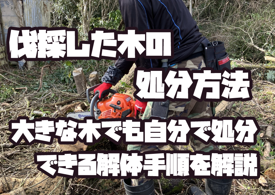 伐採した木をチェーンソーで解体して処分している作業の様子