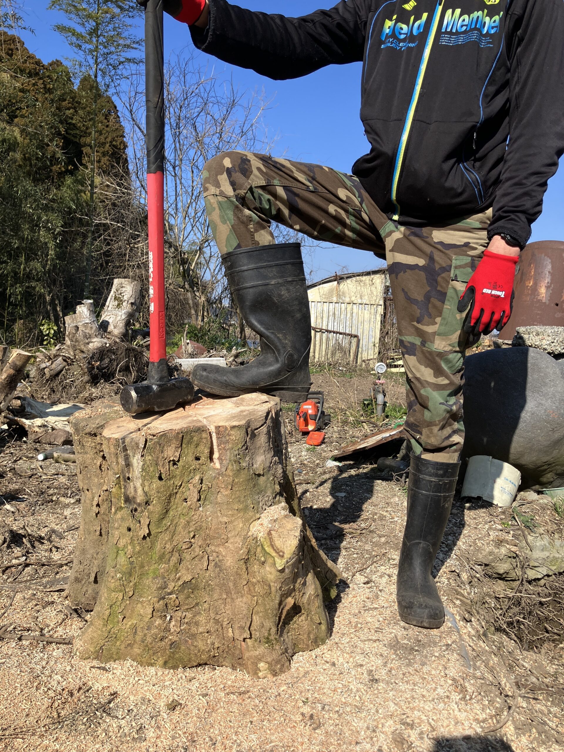 直径45cmの巨大丸太を薪割り前の状態で撮影した写真