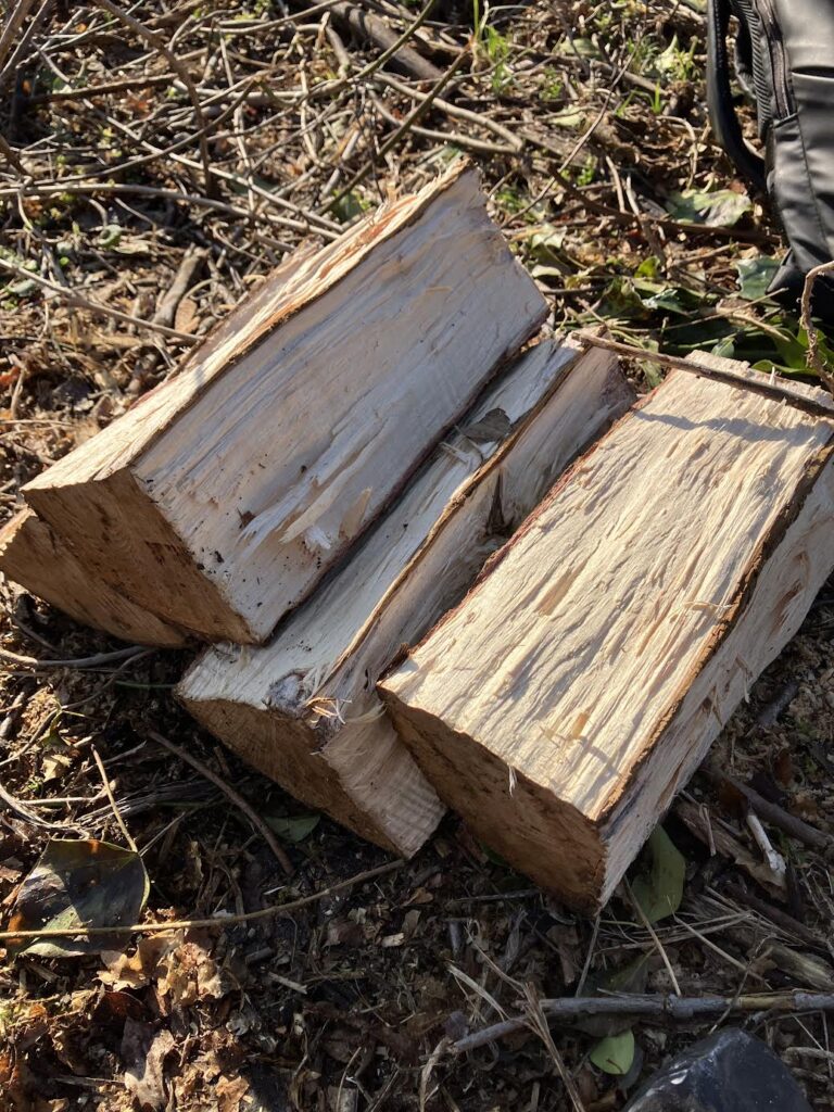 ねじりクサビで割った丸太を薪のサイズまで加工した状態