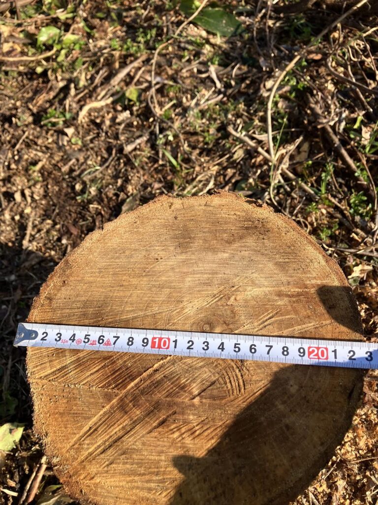 ねじりクサビで割る前に丸太の直径をメジャーで測定している様子