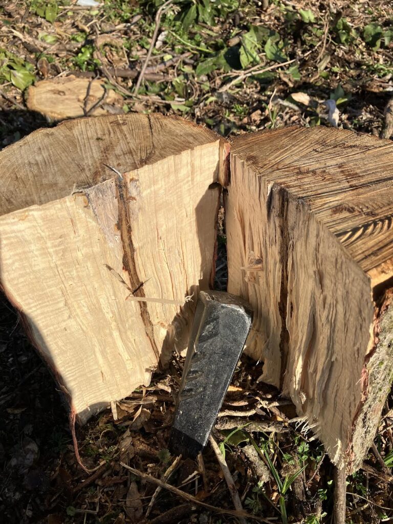 ねじりクサビで真っ二つに割れた丸太