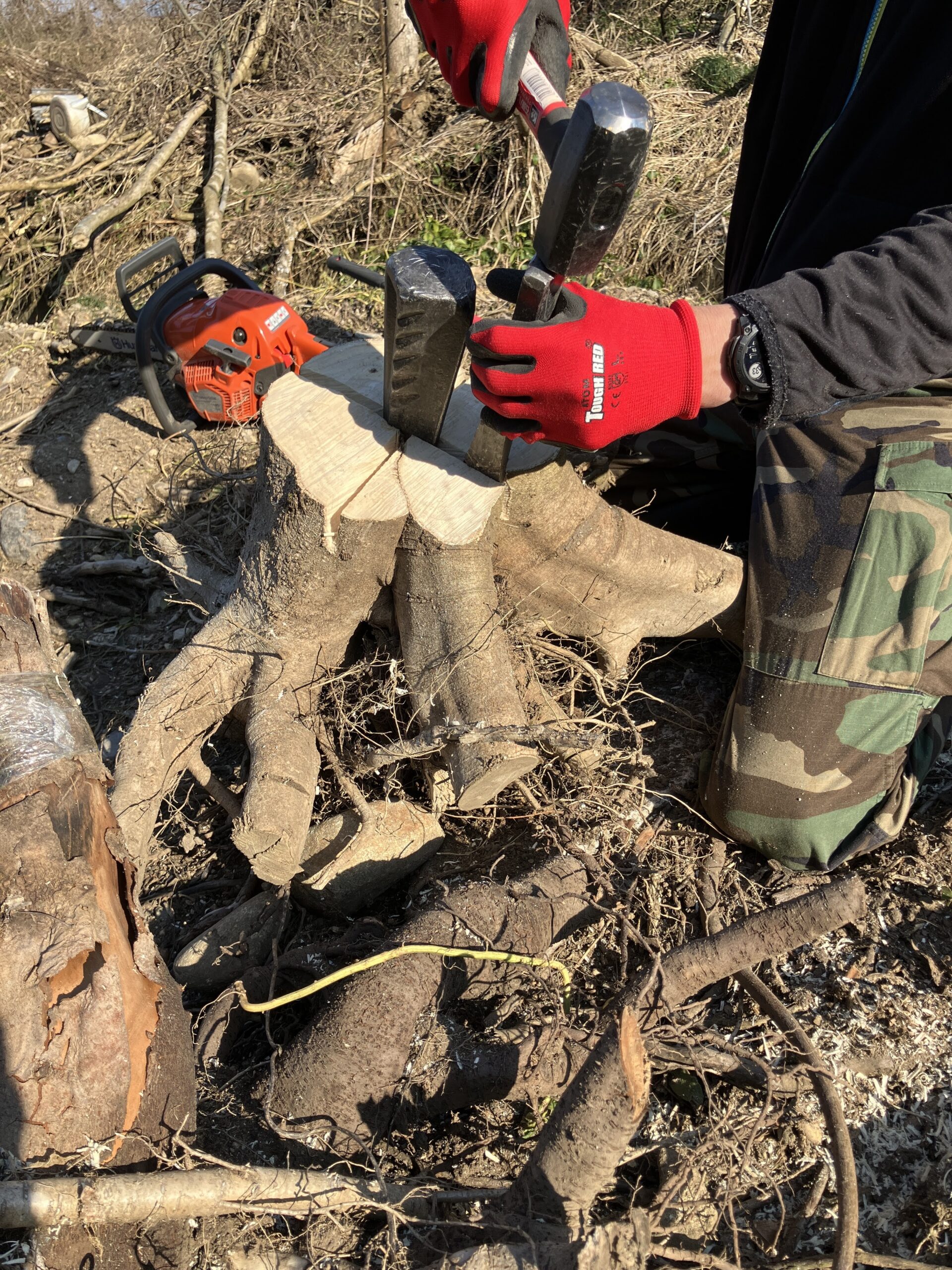 ストレートクサビを切り株の割れ目に打ち込んでいる様子