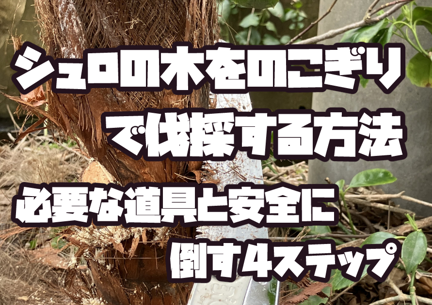ロープで方向を固定しながらシュロの木を安全に伐採する様子