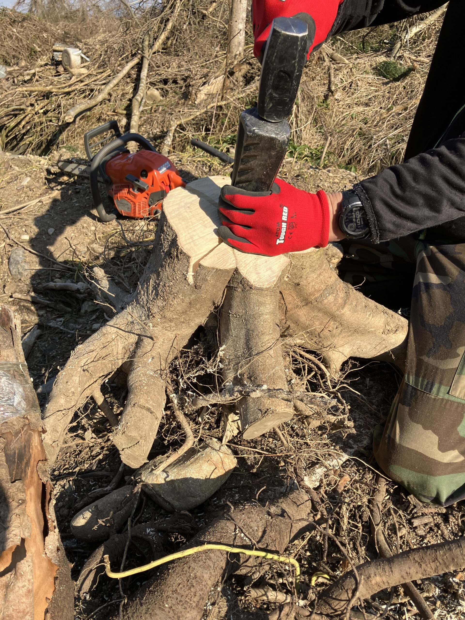 捻りクサビを手ハンマーで切り株に打ち込んでいる様子