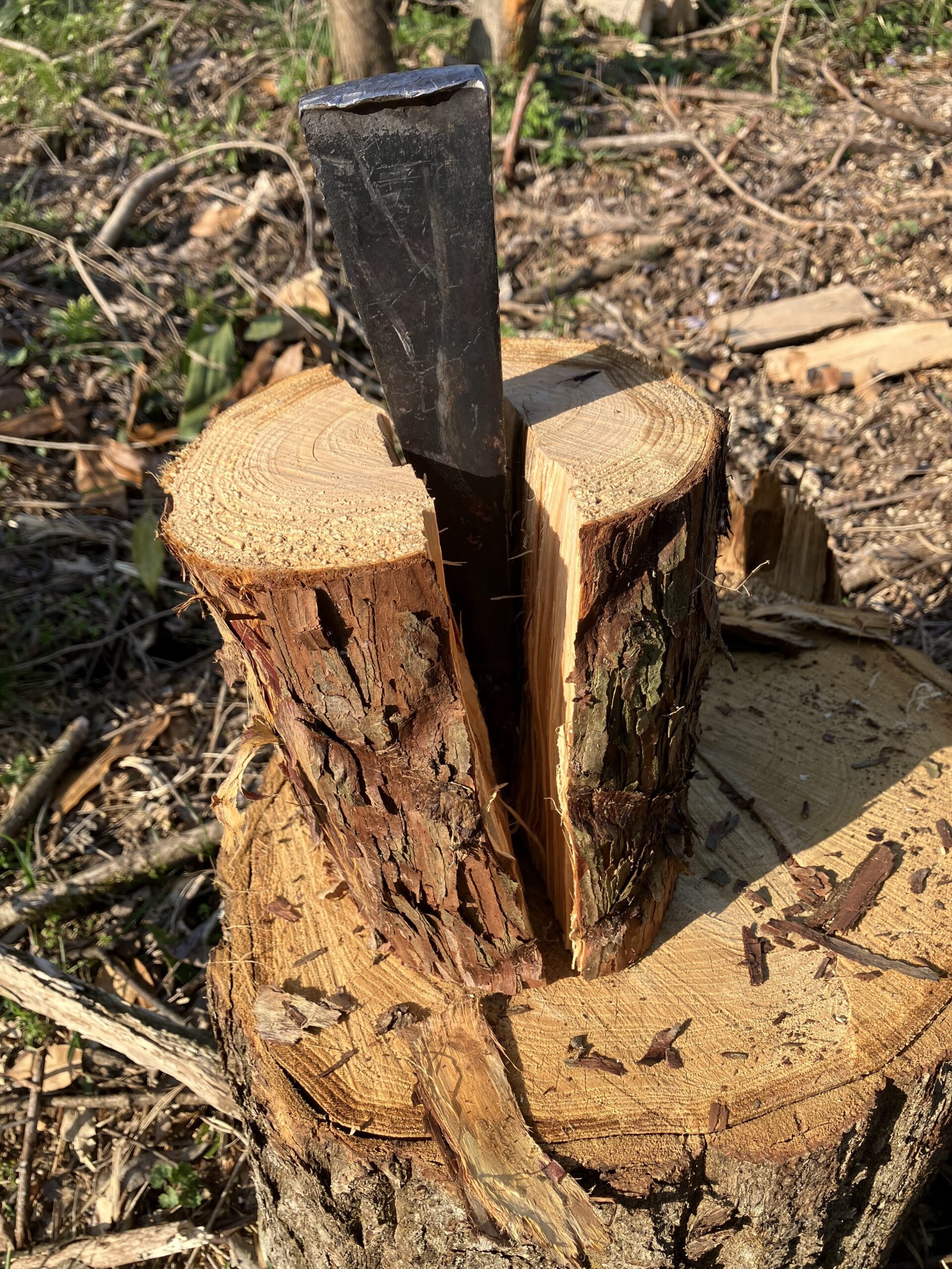 ハルタホースのクサビで丸太が真っ二つに割れた様子