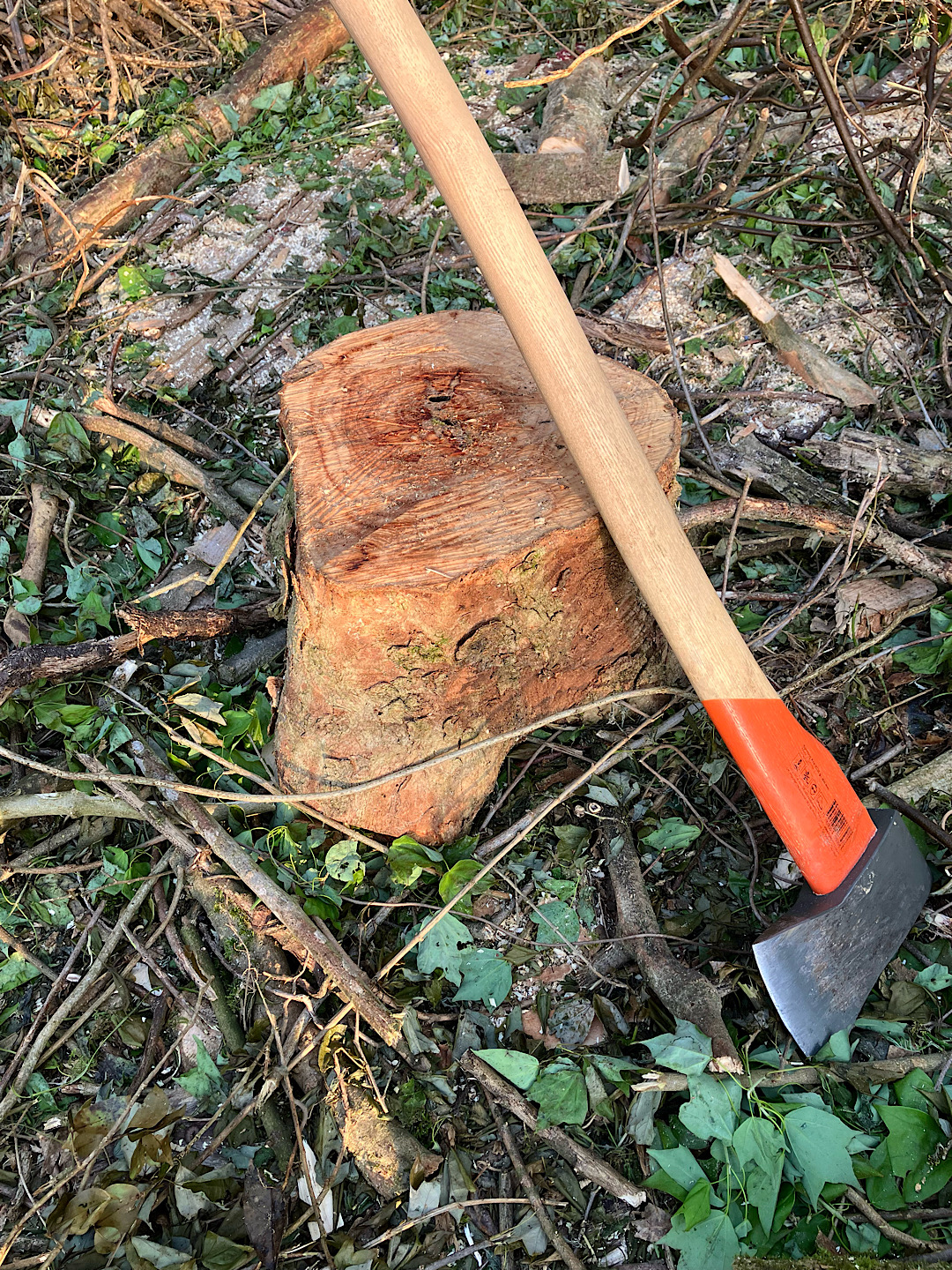 薪割り斧で丸太を割り薪として処分する方法をイメージした写真

