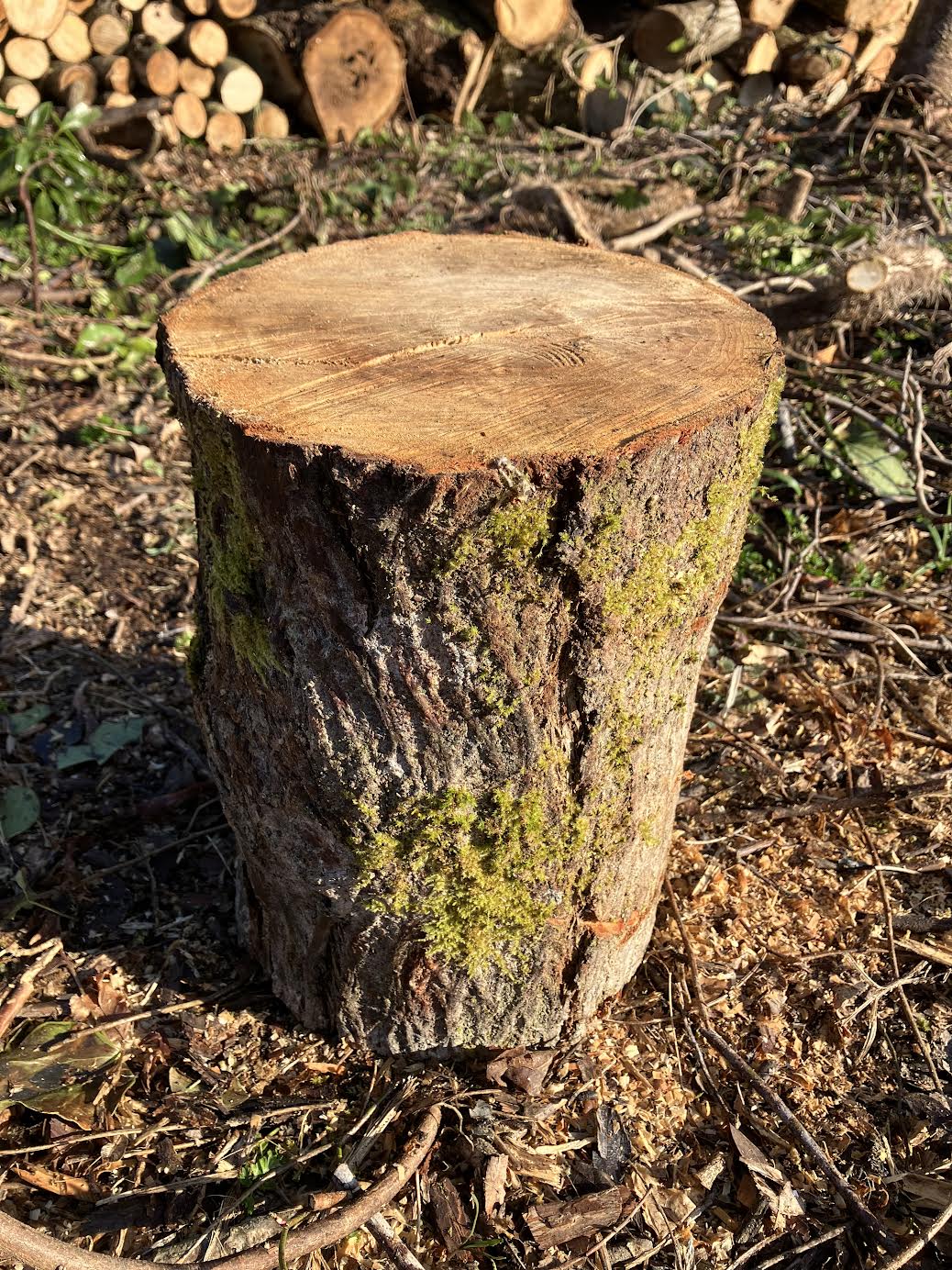 薪割り前の丸太をイメージした写真