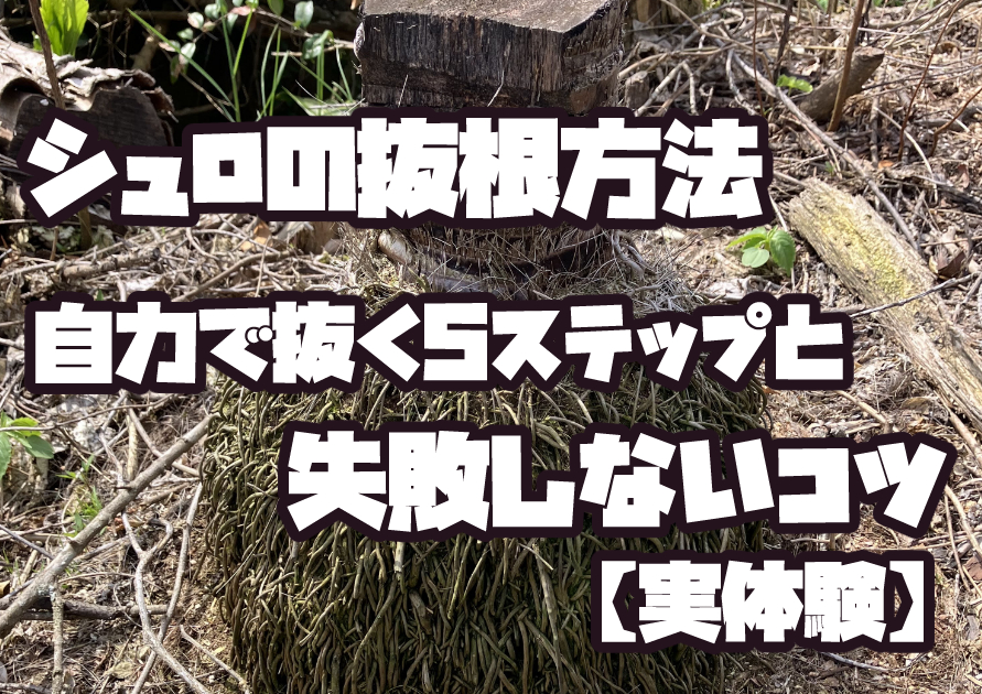 抜根前のシュロの木の状態｜自力で抜く前の様子