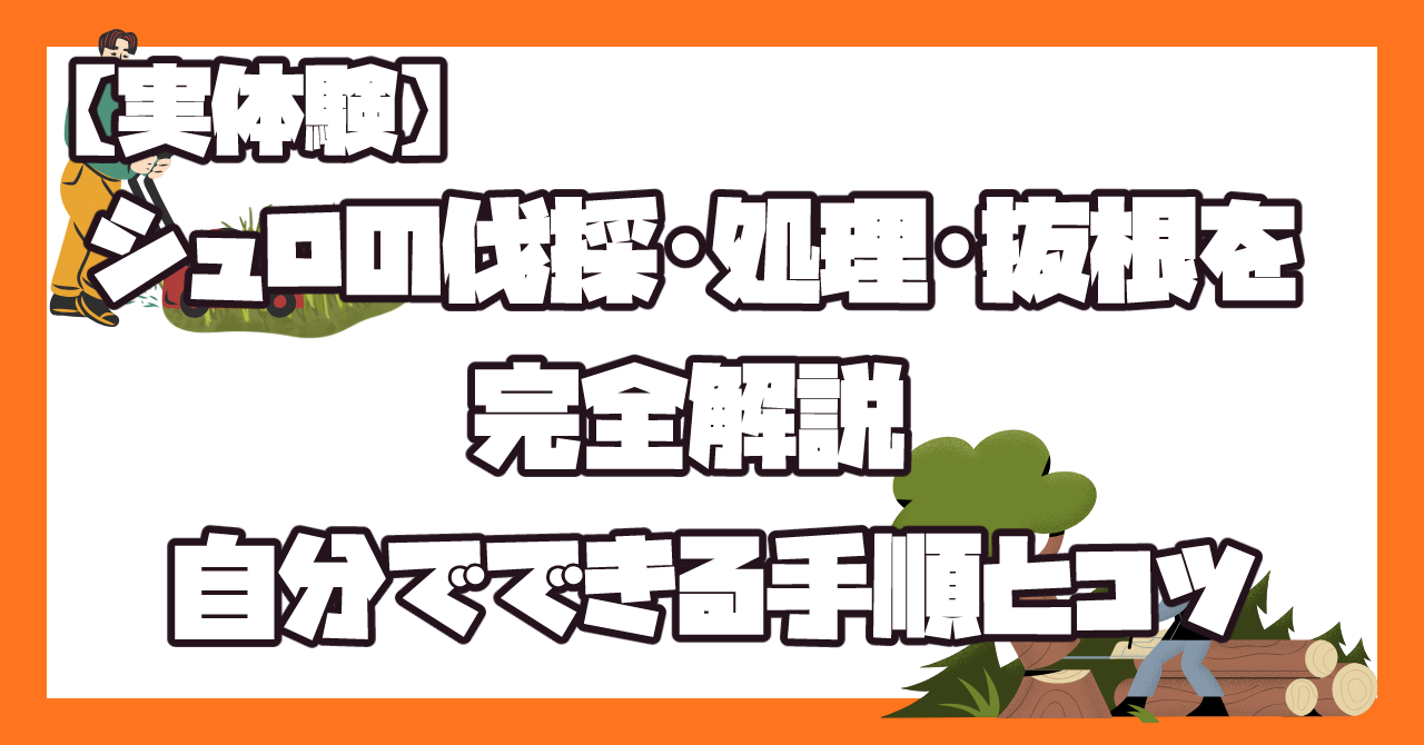 庭や農地に生えたシュロの木を伐採・処理・抜根する手順を解説したイメージ画像