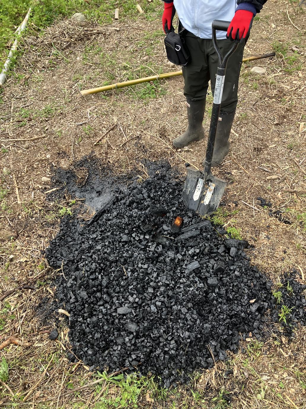 無煙炭化器で完成した伐採木の炭