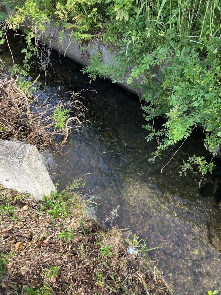消火用の水を確保できる畑近くの用水路