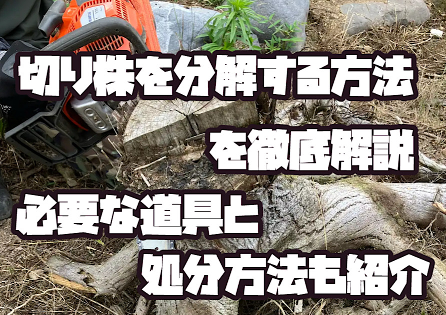 切り株を分解する方法を解説