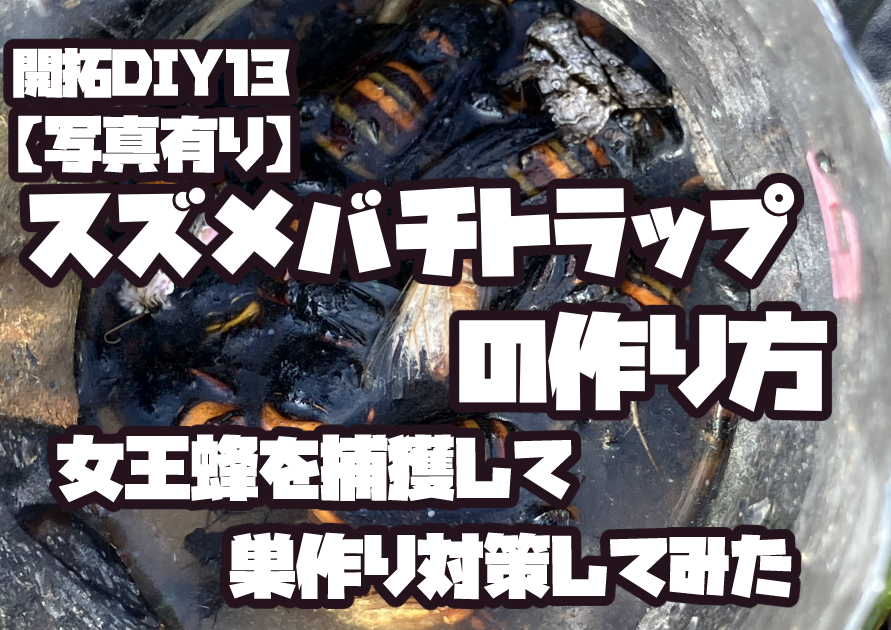 自作したスズメバチトラップで女王蜂を捕獲した様子