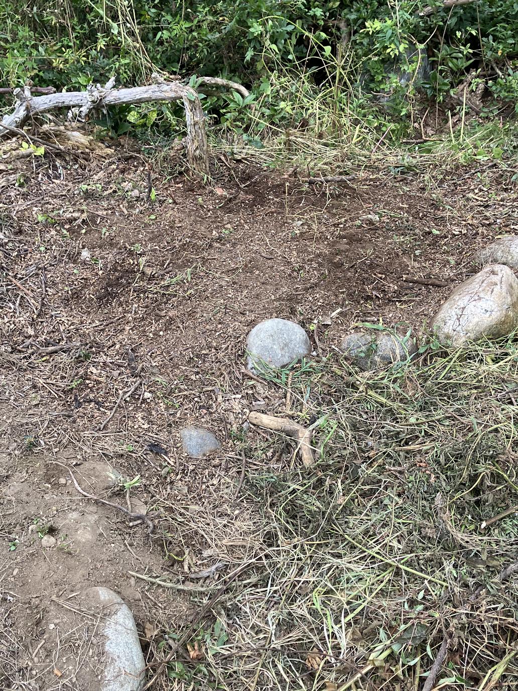 草取りノコギリ鎌で草刈りした後の花壇