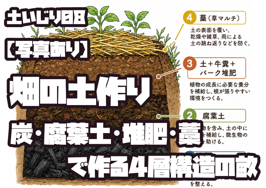 畑の土作りで作る4層構造の畝