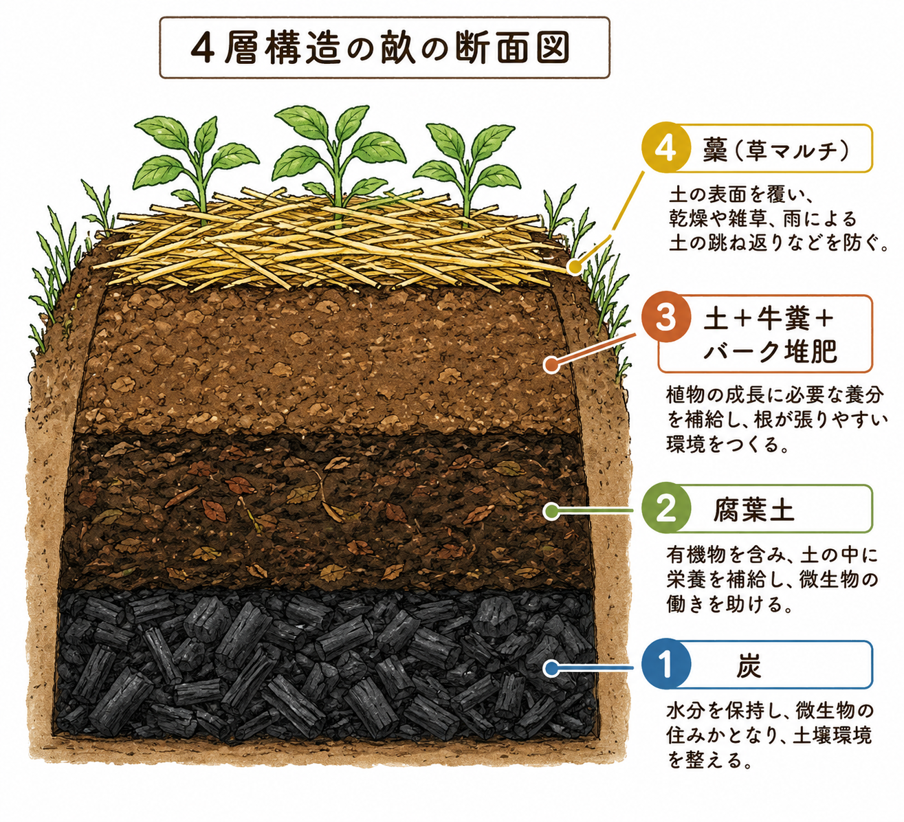 4層構造の畝の説明図